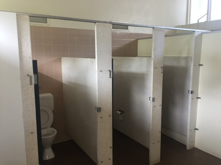 Local Community School: Main bathroom refurbishment and replacement of ...